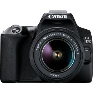 Canon Rebel SL3 / EOS 250D