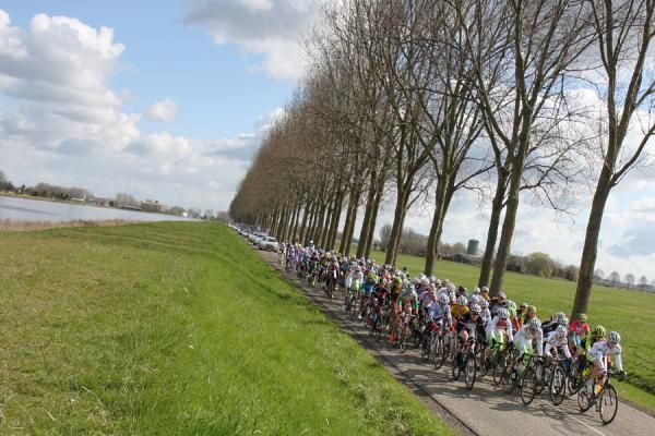 The peloton streams through the Netherlands