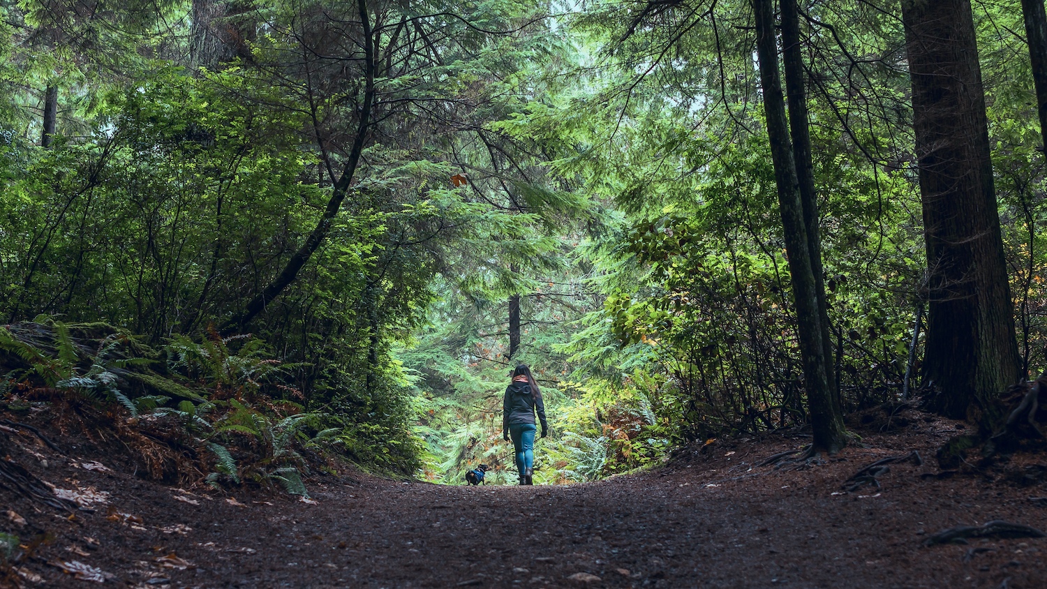 How to relax on Mother's Day: a woman walks in the forest