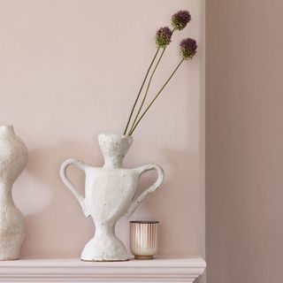 room with white vase light pink wall and round headed leek plant