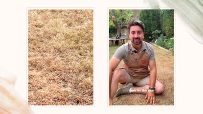 picture of garden lawn with dead grass and screenshot from Ish's reel about dead grass