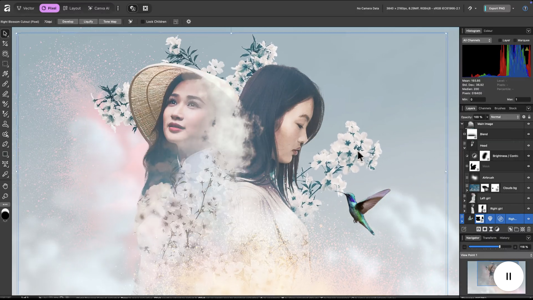 Affinity Studio screengrab of photo editor in action