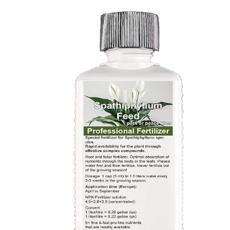 How to fertilize a peace lily and when to do it Homes & Gardens