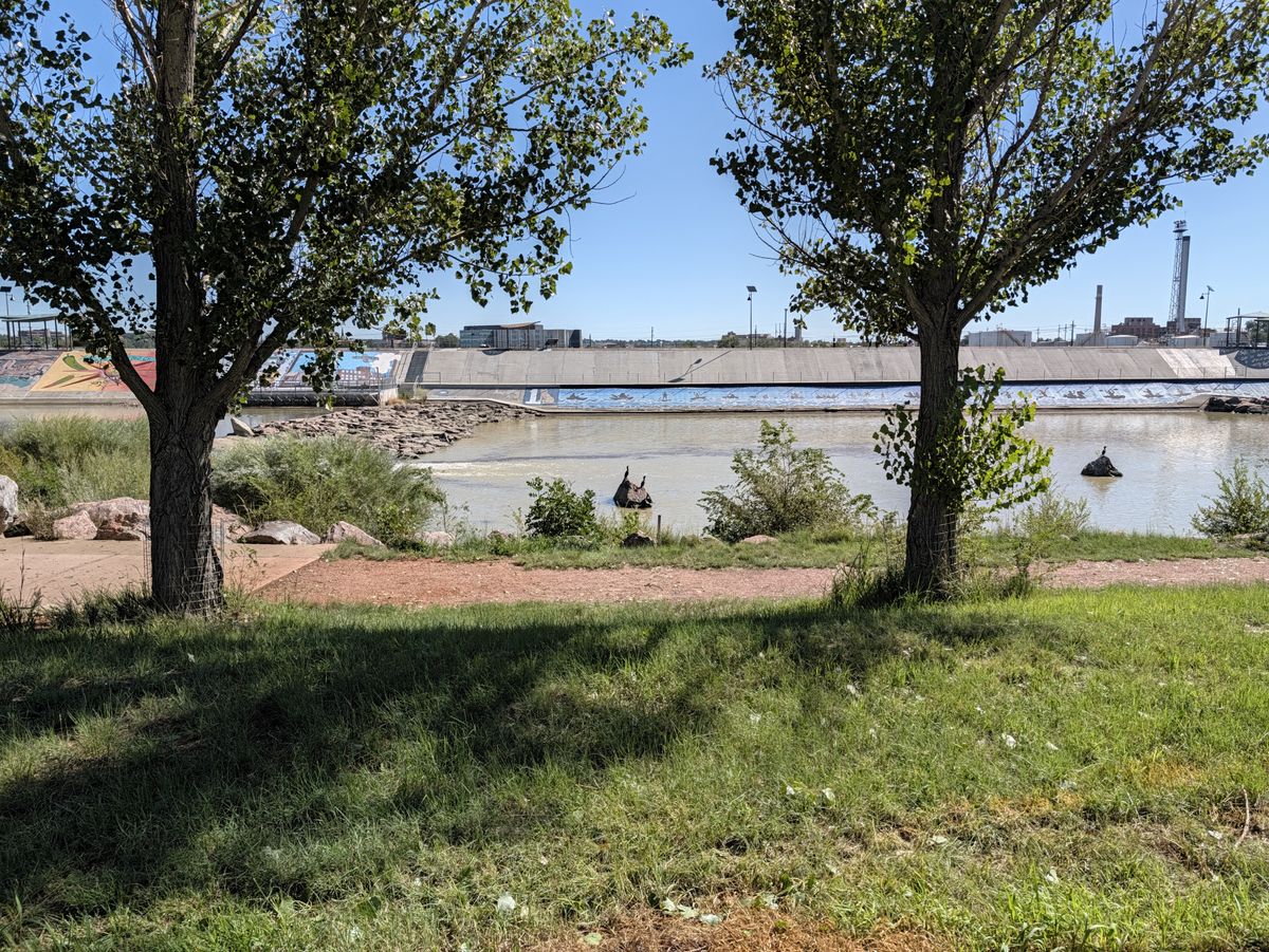 Google Pixel 11 Pro Camera Samples