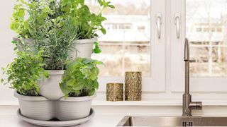 Stackable planter in kitchen
