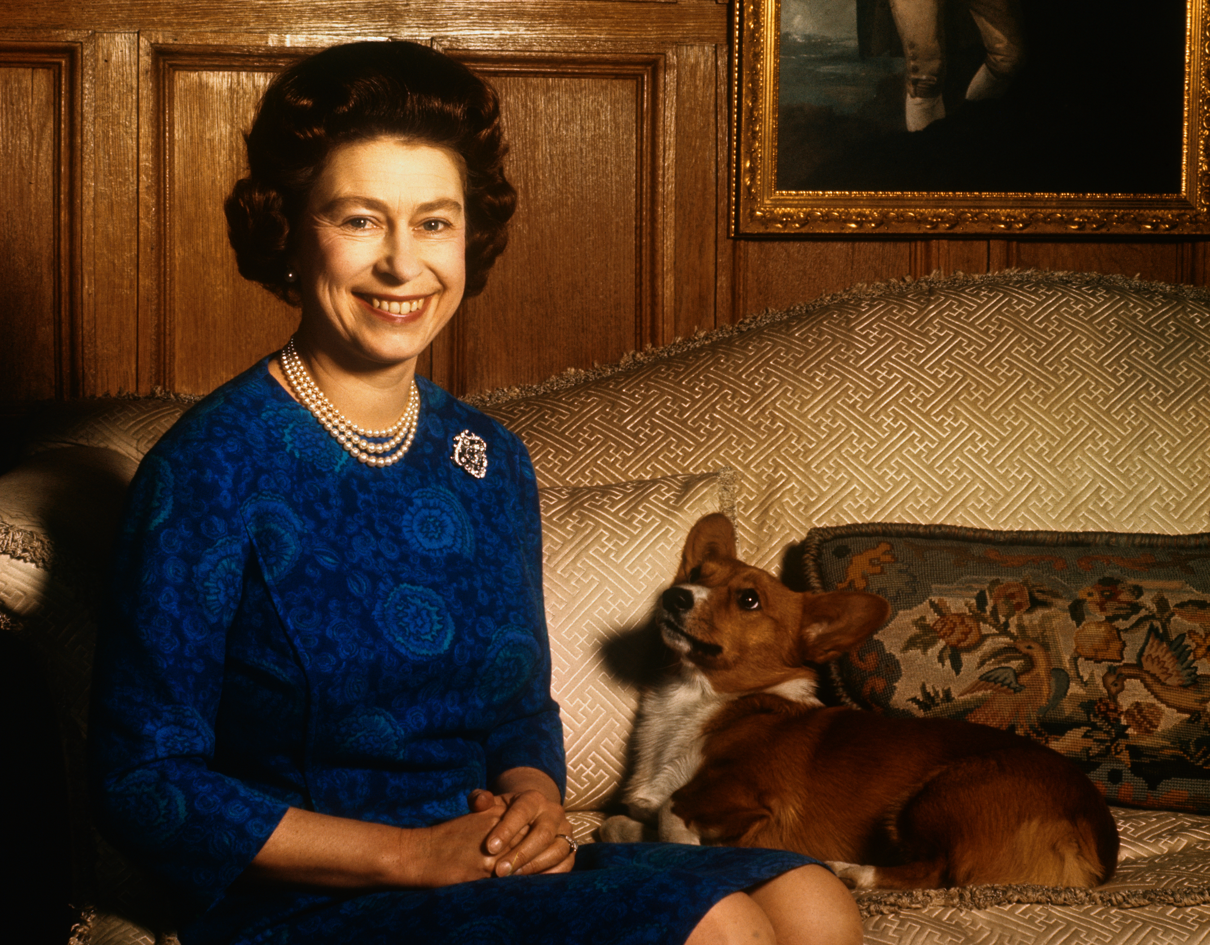 Queen Elizabeth wearing a blue dress sitting next to a corgi