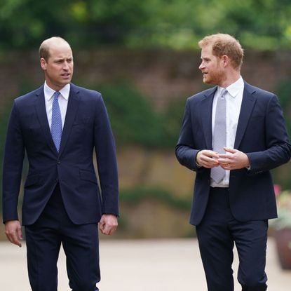 Prince William and Prince Harry at Kensington Palace in 2021