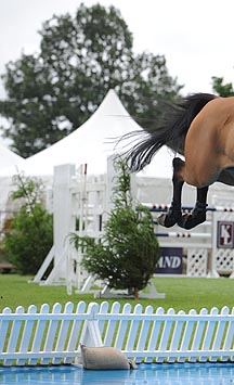 Hickstead-water.jpg