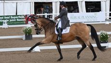 Hartpury CDI Alice Oppenheimer and Headmore Diffinity