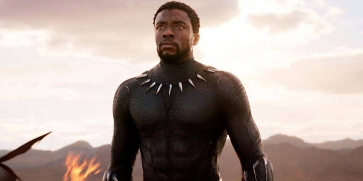 T&#039;Challa stands triumphant in Black Panther (2018)