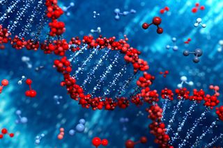 DNA helix, genetics