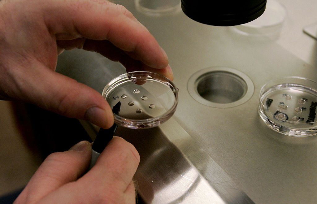 Scientist holding dish of human embryos.