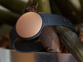 Misfit Shine ($49)