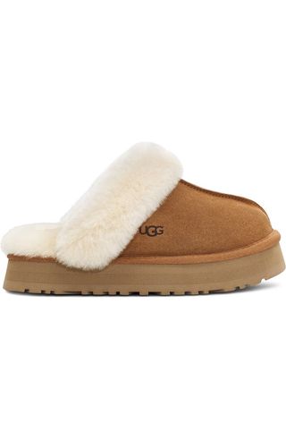 Disquette Slipper