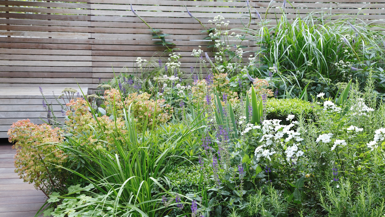 Dense and colorful garden border during summer, with yellow-orange euphorbia, purple flower spikes and green grasses 
