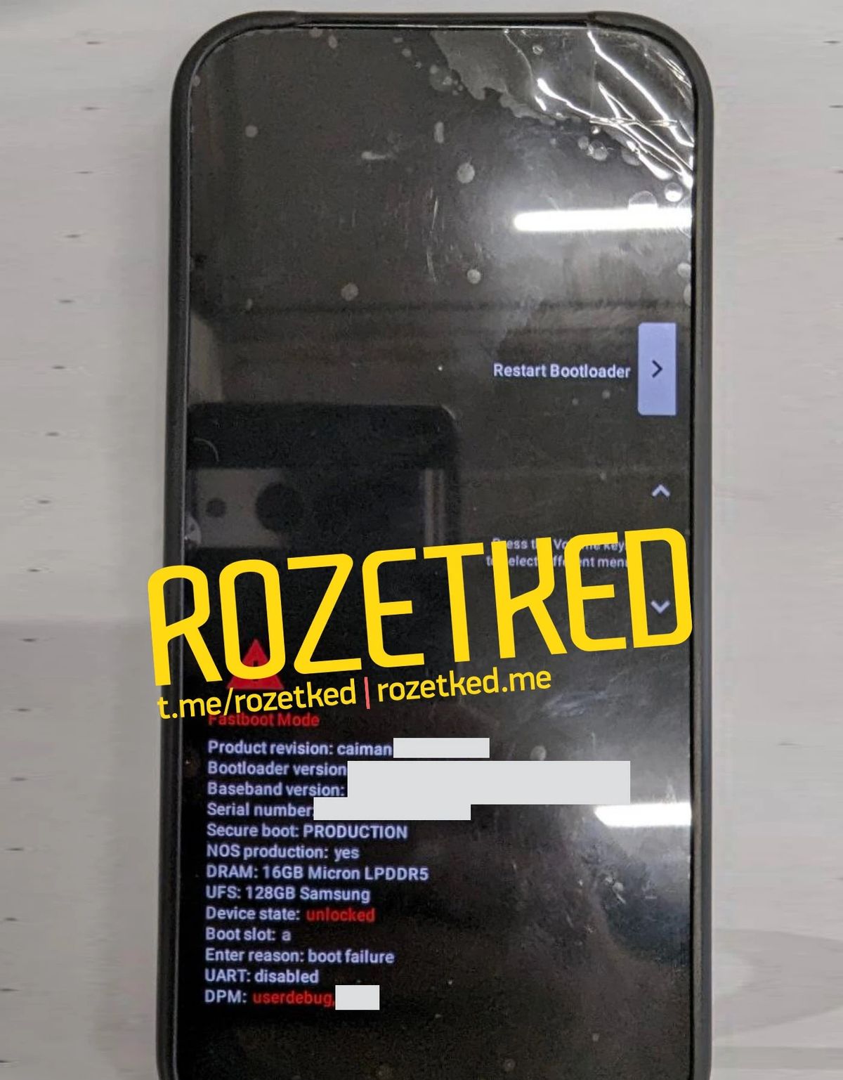 Pixel 9 Pro prototype photos