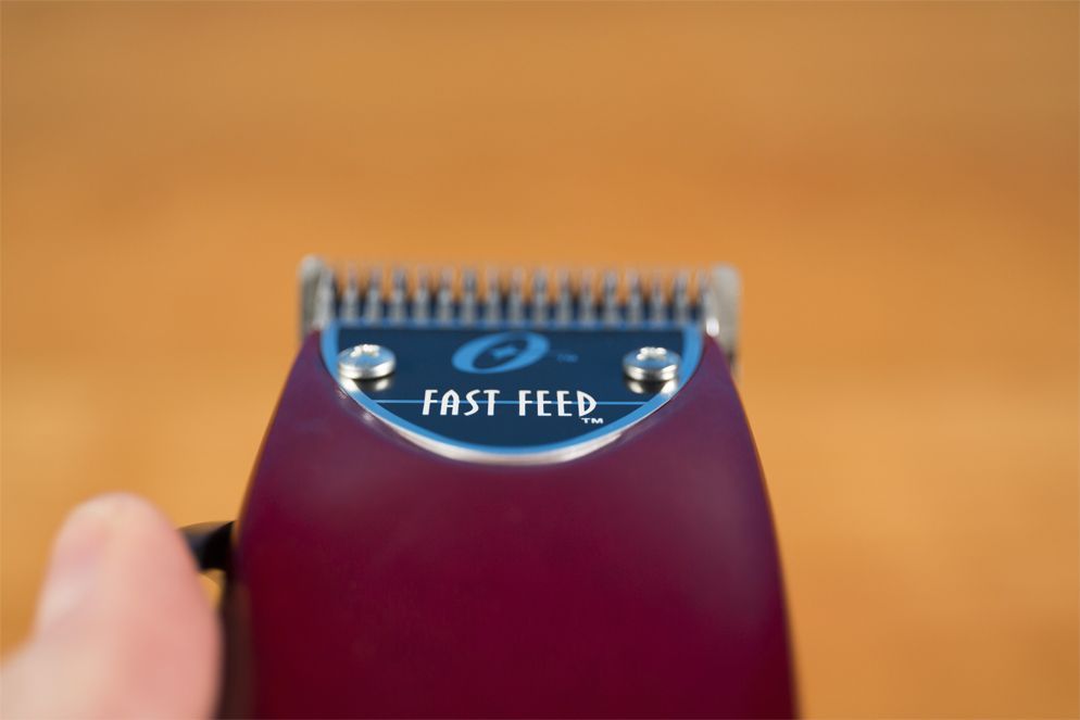 oster fast feed review