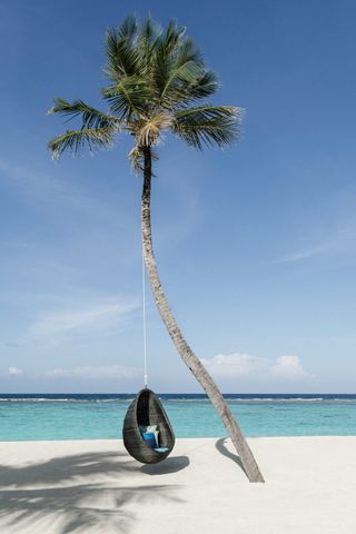 Blue missoni patterns in egg chair on beach, at one & only reethi rah maldives resort