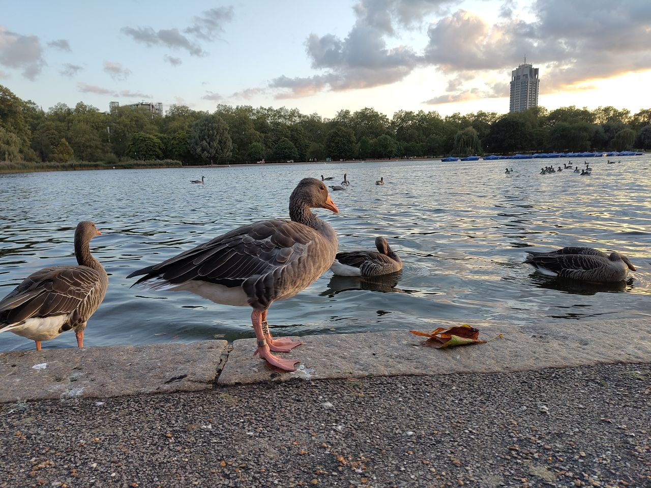A Fairphone 5 camera sample