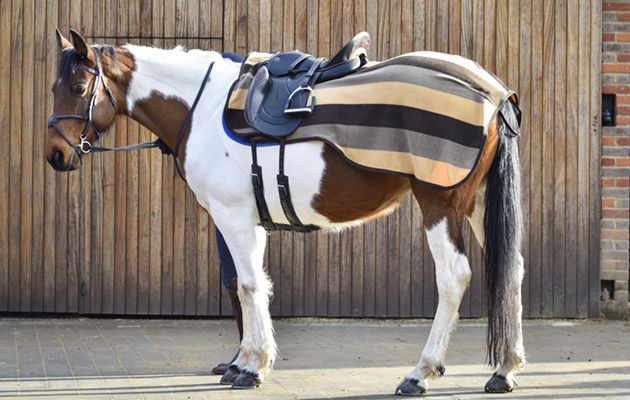 Equith&egrave;me Stripe Exercise Sheet review