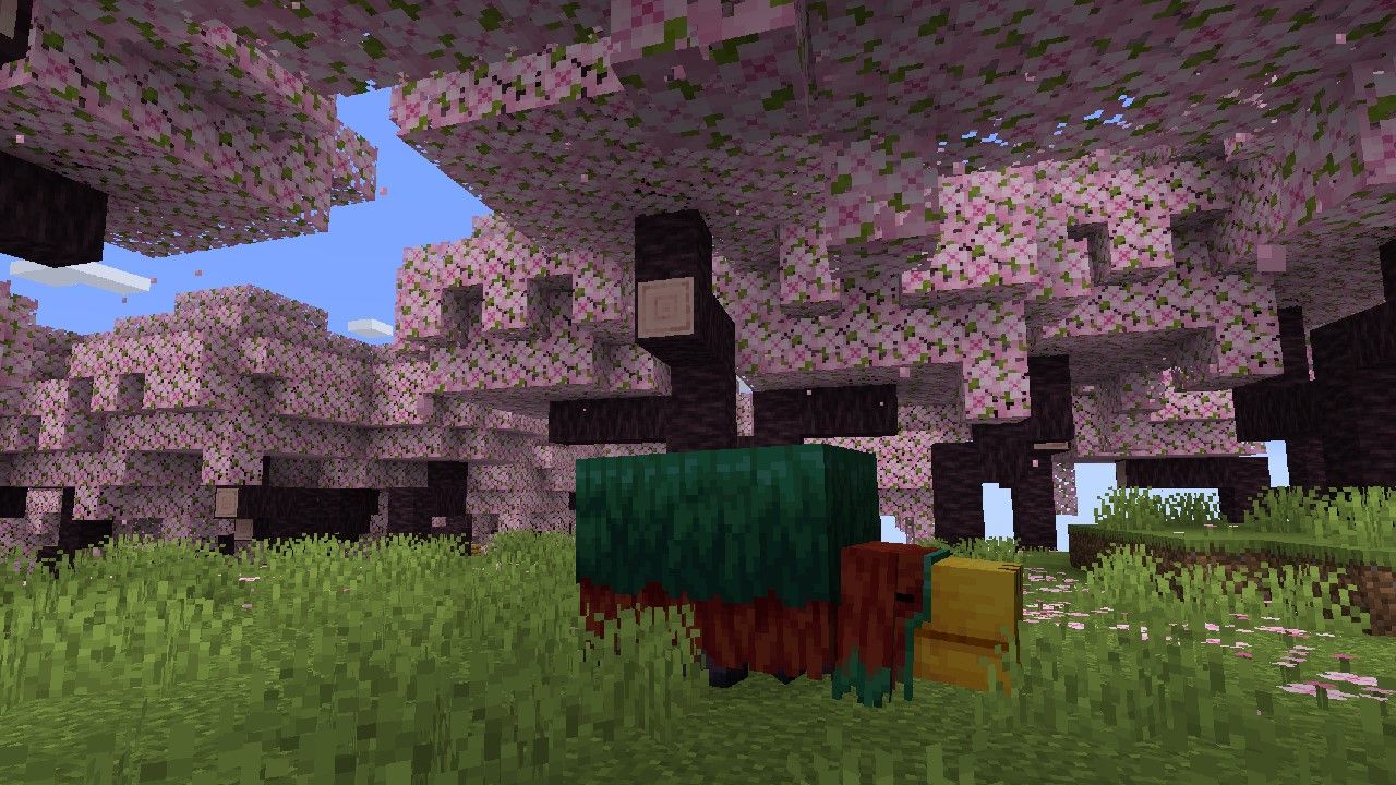 In-game screenshot of the Cherry Blossom biome in Minecraft 1.20.