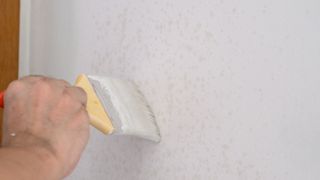 Yellow handled paint brush adding white paint onto white wall with damp mould spots
