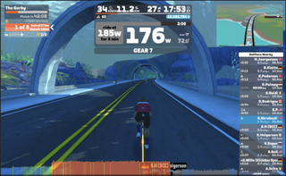 Steve's workout screenshots from his Zwift workouts