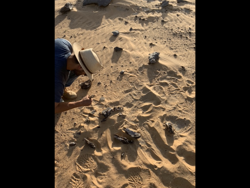 A man with a tan fedora leans toward the center of the image from the left where a pile of black bones lay in tan sand