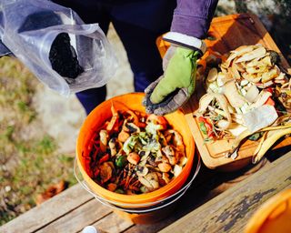 Applying microbial bran to food scraps for bokashi composting