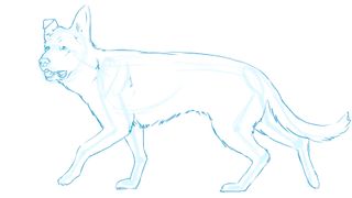 How to draw a dog: body