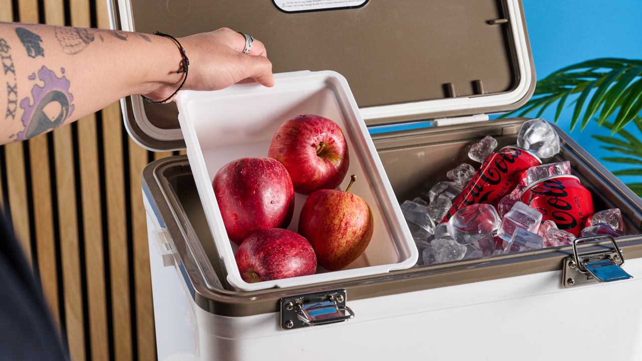 the engel cooler box in 19 quart, the white version capable of fitting 30 cans and a separate plastic tray and a carry strap