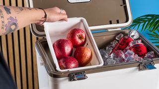 the engel cooler box in 19 quart, the white version capable of fitting 30 cans and a separate plastic tray and a carry strap