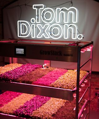 IKEA Tom Dixon Chelsea Flower Show 2019