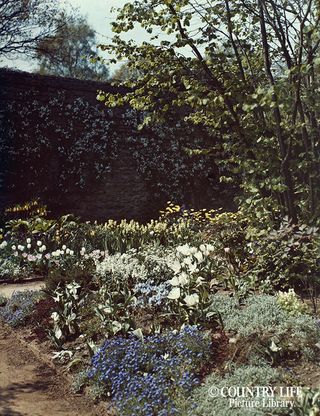 Gertrude Jekyll's garden at Munstead Wood - photographed in 1912 (©Country Life Picture Library)