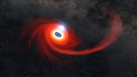 A disk of hot gas swirls around a black hole in this illustration. The stream of gas is what remains of a star that was pulled apart by the black hole. A cloud of hot plasma above the black hole is known as a corona.