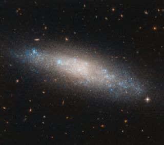 The Hubble Space Telescope captured this stunning view of the spiral galaxy NGC 4455 in the constellation Coma Berenices, or Berenice's Hair. The galaxy is 45 million light-years away. This Hubble image was released Dec. 30, 2019.