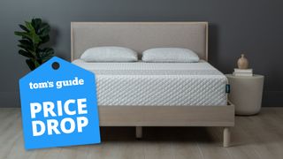 A Leesa Sapira Hybrid Mattress in a bedroom, with a Tom's Guide lower price deals graphic (left)