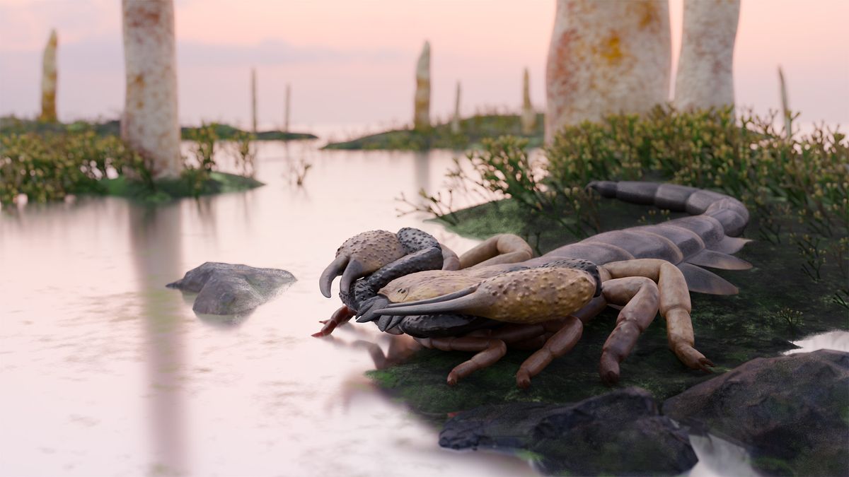World's largest scorpion had 6-inch pincers, and prowled UK land and waters 415 million years ago