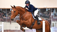Bridleless2creditEvelyn-Young-at-Photos-Legend-1.png