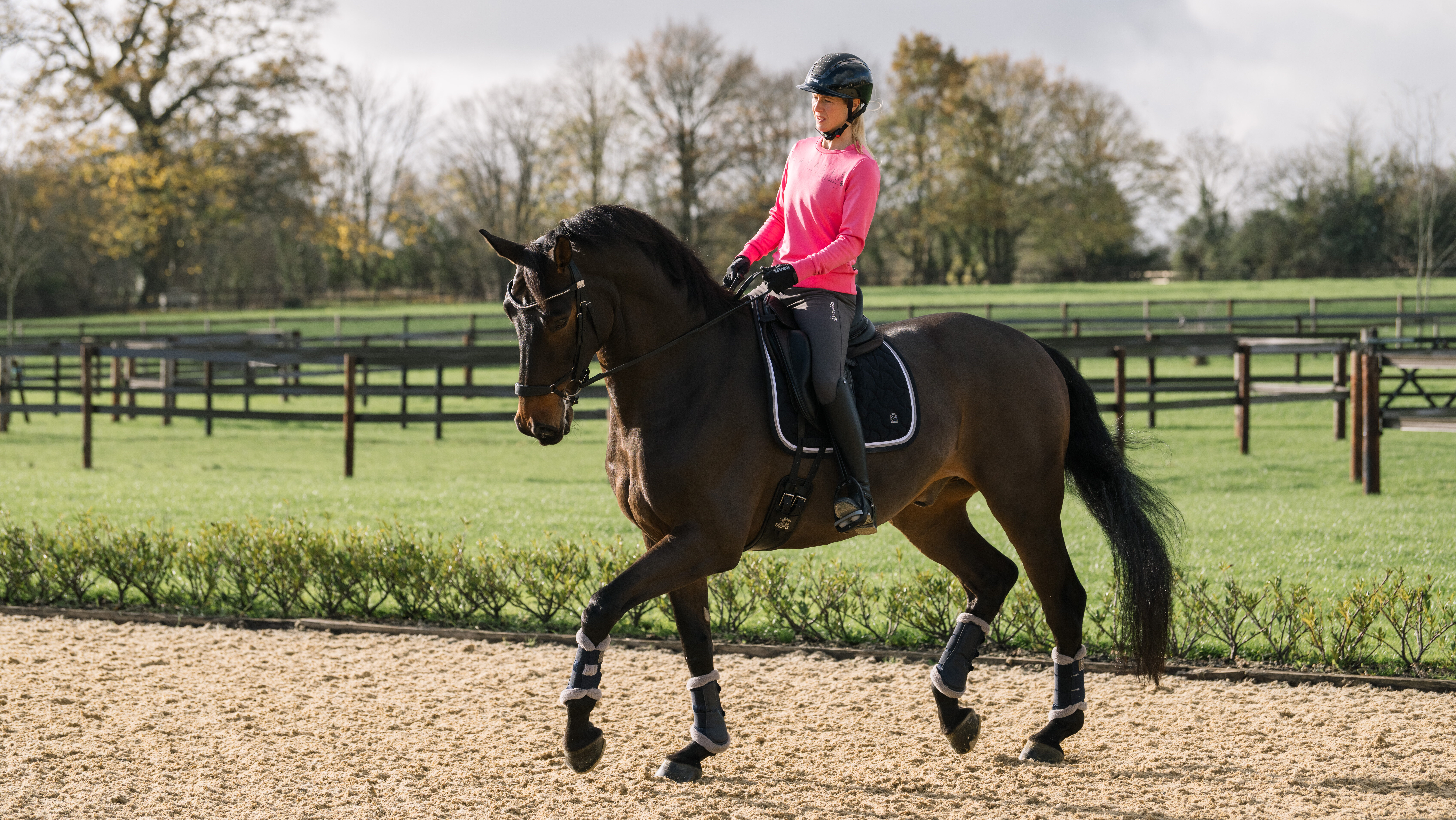 LAURATOMLINSONHORSEHOUND-177-e1768295531290.jpg