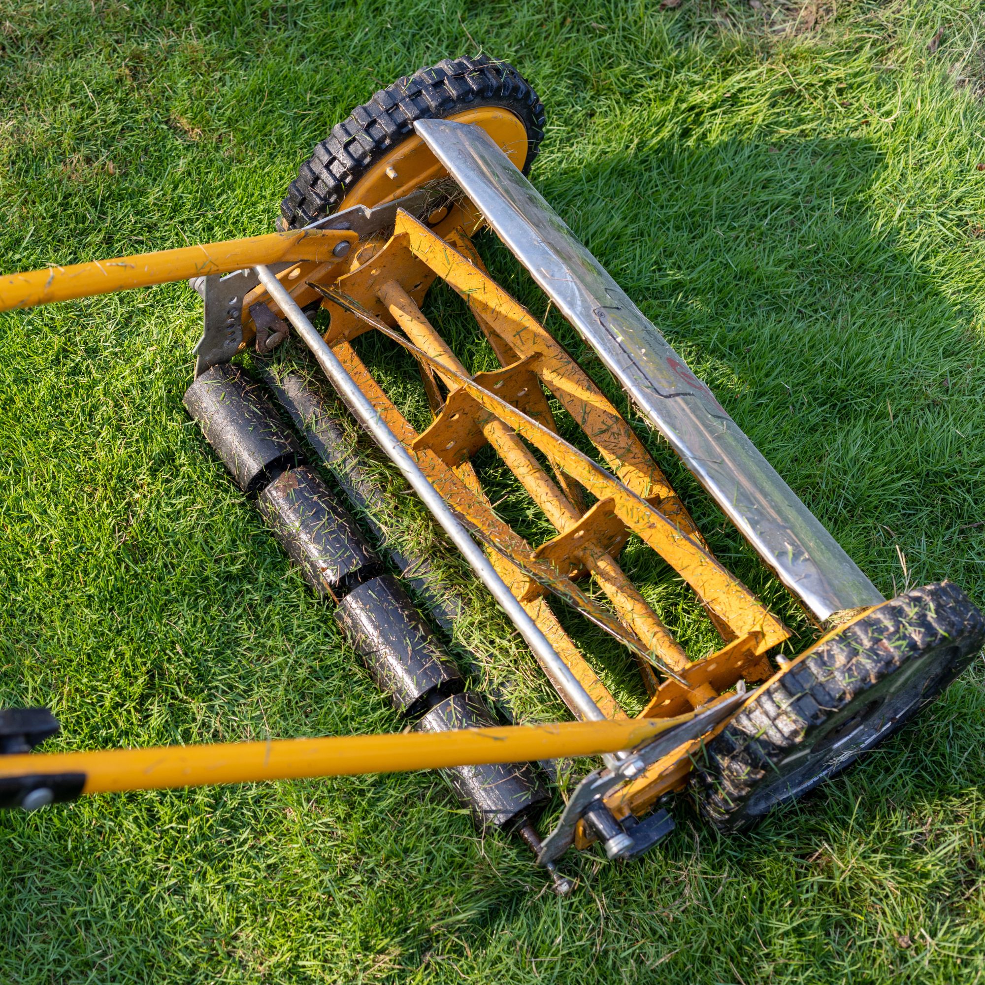 Manual push lawn mower cutting grass