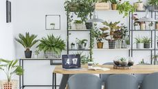 Home office decor with lots of potted indoor plants