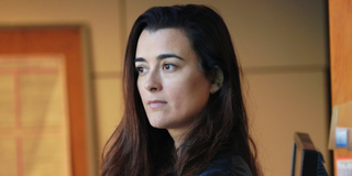 ncis cote de pablo ziva david