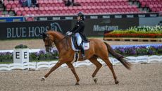 Singapore&rsquo;s Caroline Chew is currently 11th in the World Dressage Championships results following their grand prix ride