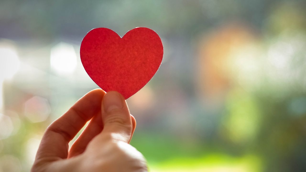 A hand holds out a red heart made of felt.