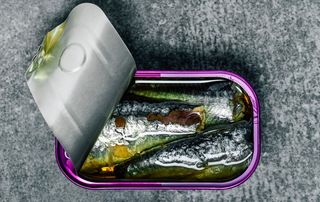 Open-can-of-sardines-how-to-increase-fertility