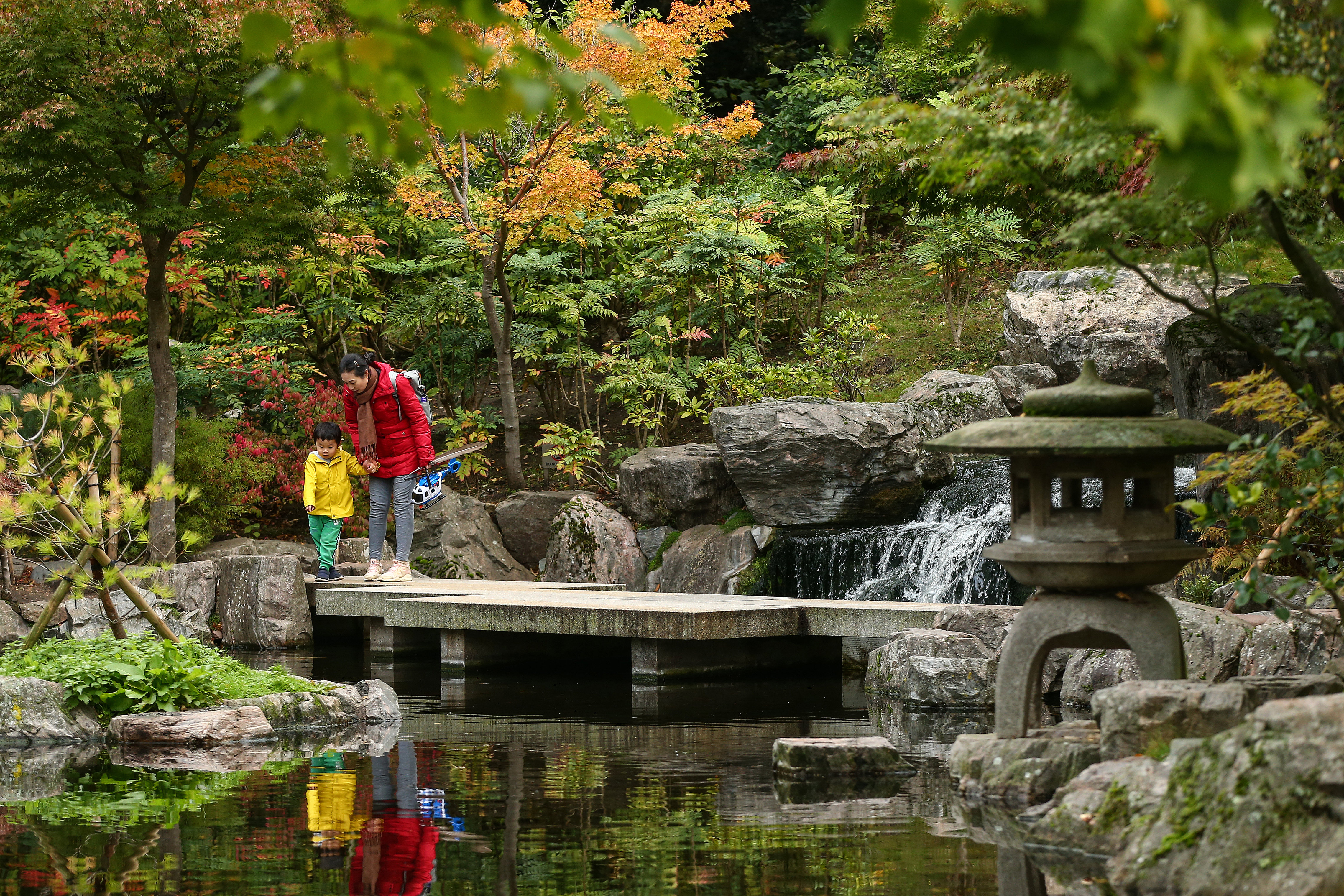 LONDON, ENGLAND - OCTOBER 10: Members of the public watch the koi fish in the Kyoto Garden at Holland Park on October 10, 2020 in London, England. Temperatures during the day on Saturday will be between 10C and 14C, but set to plunge as low as 1C overnight. (Photo by Hollie Adams/Getty Images)