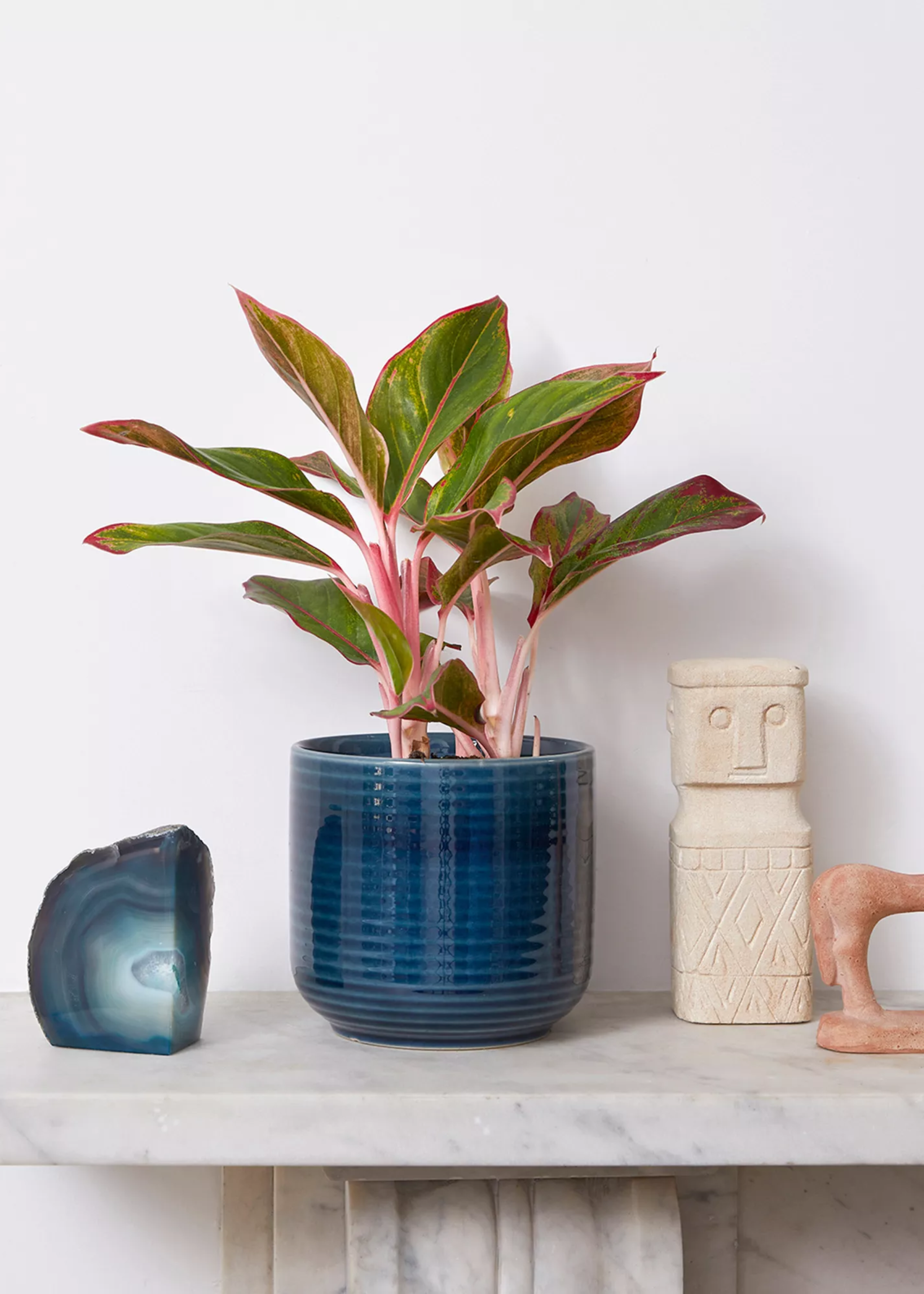 A stone side table with a potted Chinese evergreen plant, a blue geode, and other decor