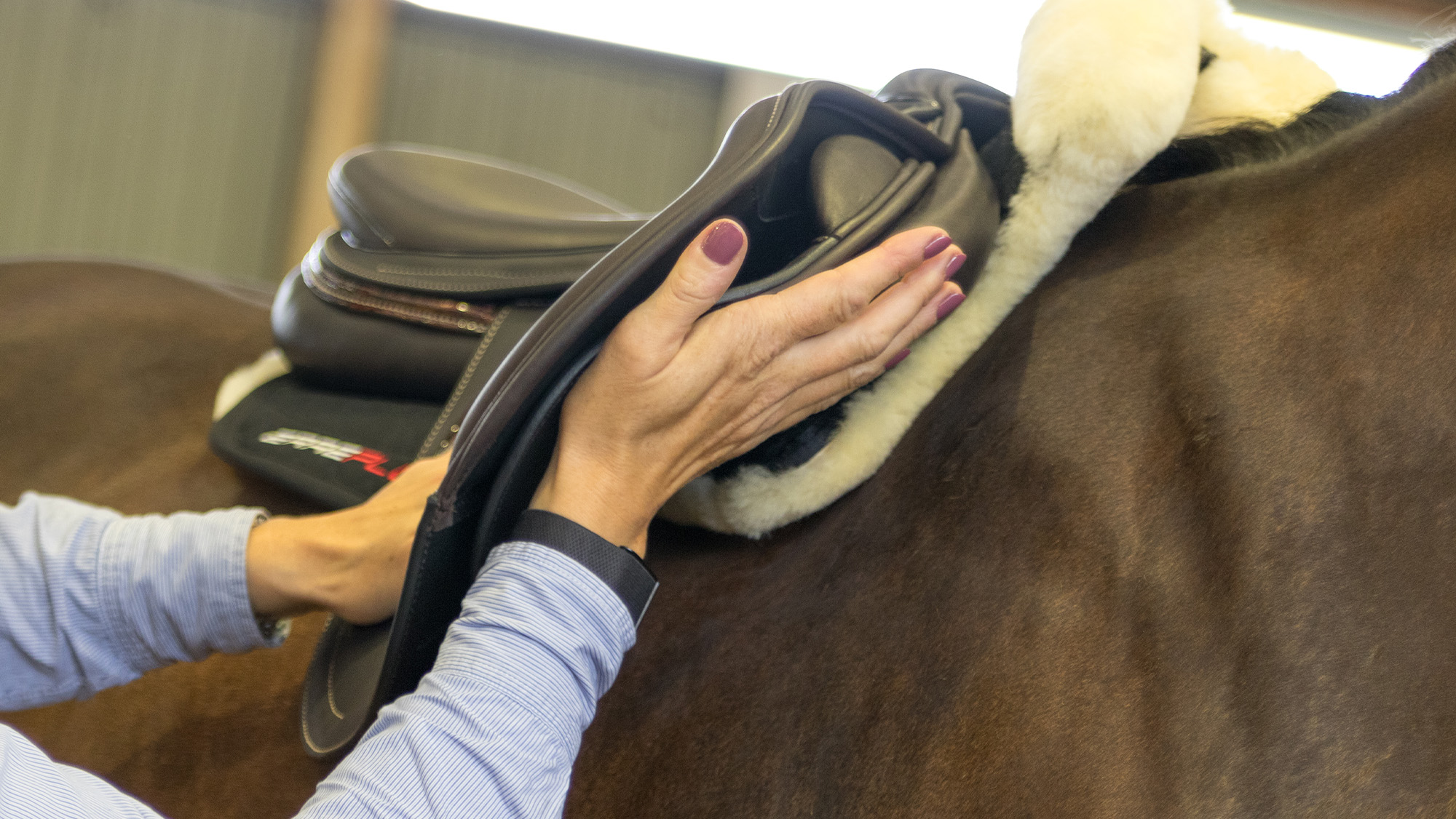 Ruth Spencer demonstrating one part of a saddle fitting