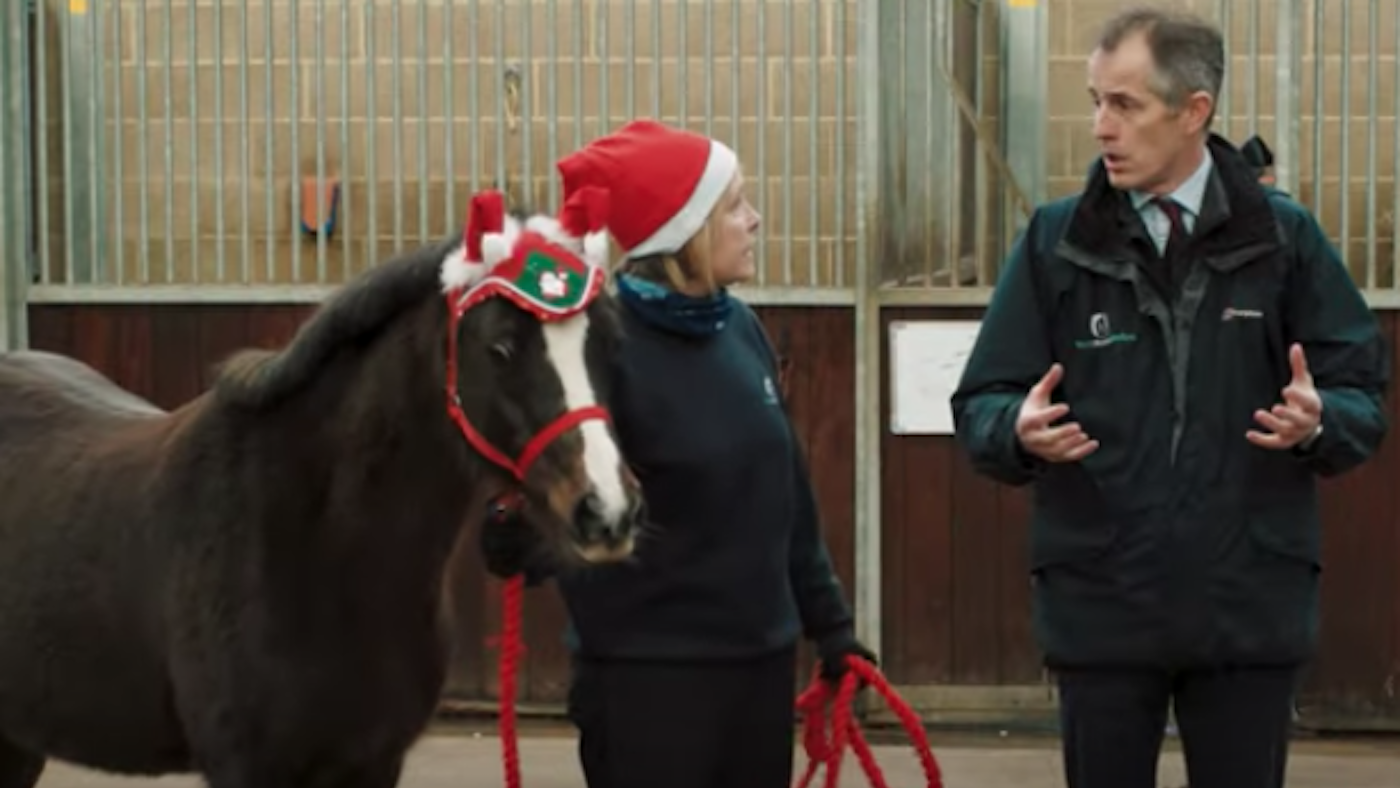 World Horse Welfare Christmas message